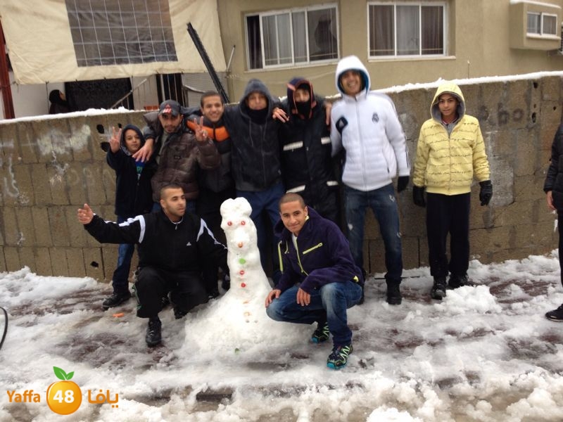 iceman lud 1213 (1).jpg